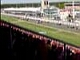 Der F1 Start