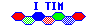 i_tim_Siemens.gif - 334 Bytes
